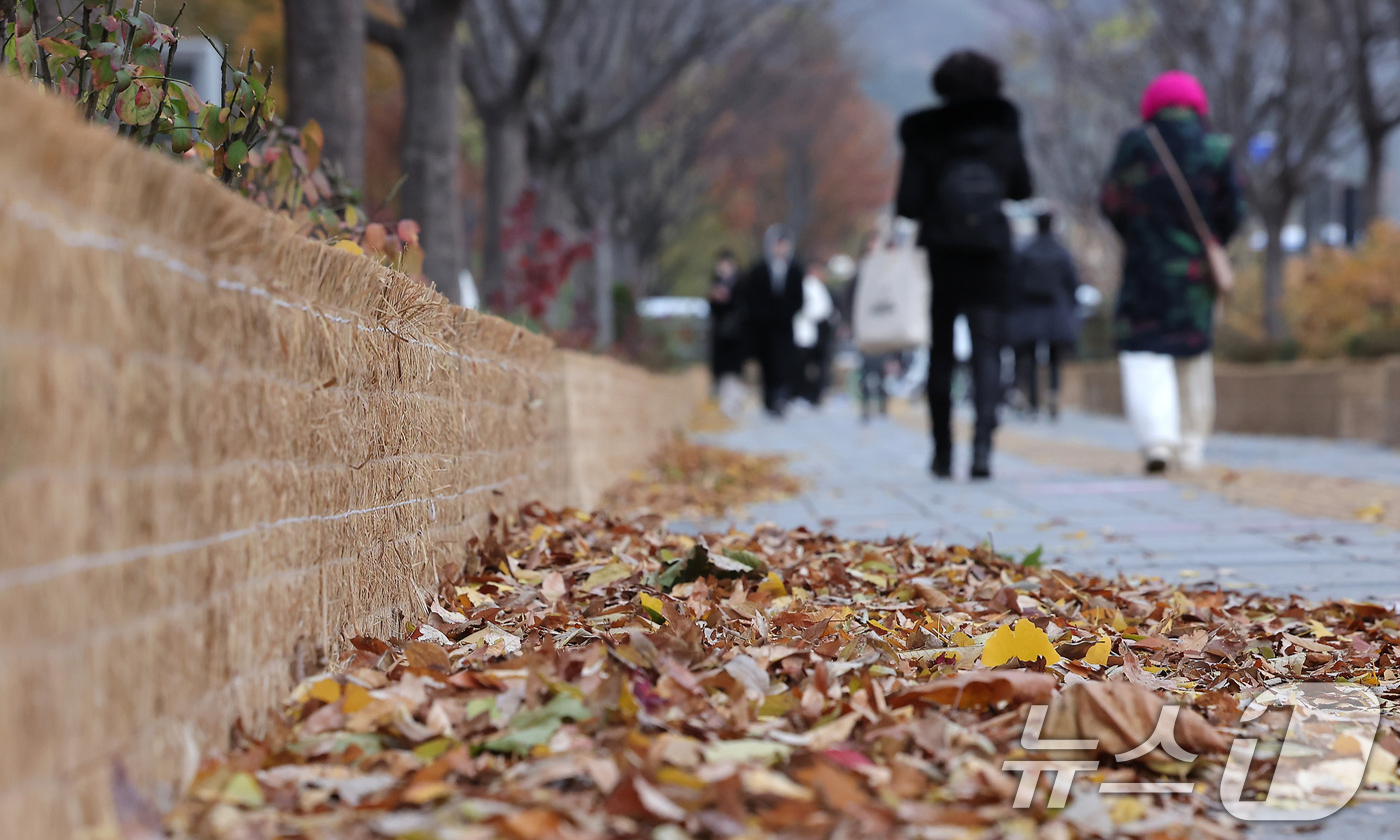 (서울=뉴스1) 김성진 기자 = 북쪽에서 강한 찬 공기가 밀려들면서 전국 최저기온이 -5도를 밑도는 등 급격한 한파가 찾아온 17일 오전 서울 종로구 광화문네거리에서 시민들이 출근 …