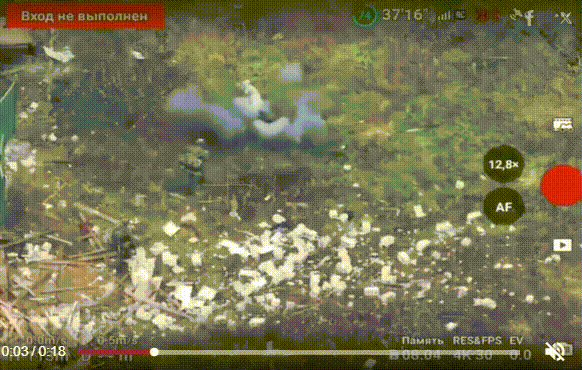 본문 이미지 - 돼지 한 마리가 대인 지뢰를 터트려 몇 걸음 떨어져 있던 러시아 군인의 목숨을 구했다고 브이엔 익스프레스가 17일(현지시간) 보도했다소