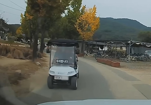 안동 하회마을서 일반 차량 번호판 단 전동차 투어 논란