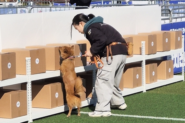 "첫 출전 맞아?"…연성대, 관세청장배 탐지견 대회서 상위권 장악
