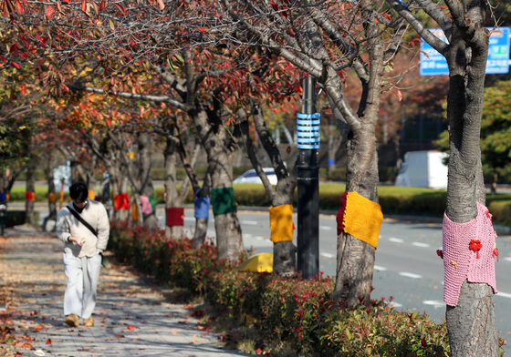 [오늘의 날씨] 울산(18일, 화)…아침 기온 뚝, 강한 바람