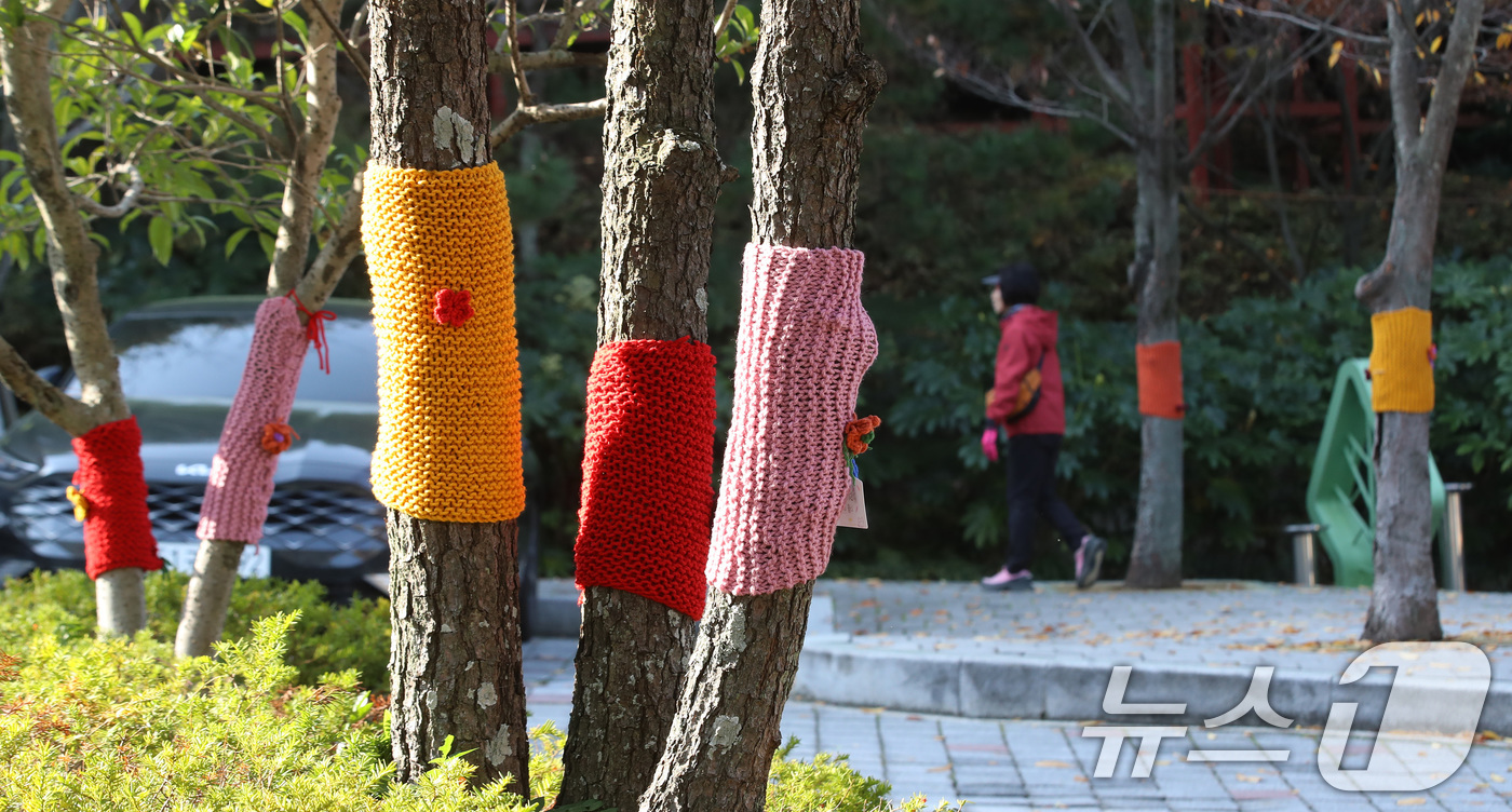 (부산=뉴스1) 윤일지 기자 = 쌀쌀한 날씨를 보인 17일 부산 북구 구포무장애숲길 인근 가로수에 뜨개옷이 입혀져 있다.기상청은 이날 오후 9시를 기해 부산 중부와 서부에 한파주의 …