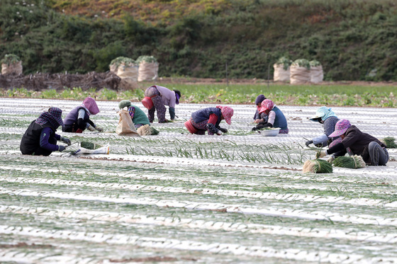 [오늘의 날씨] 대구·경북(18일,화)…출근길 영하권, 낮 최고 4~9도