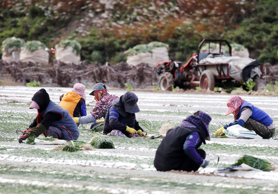 더 추워지기 전에
