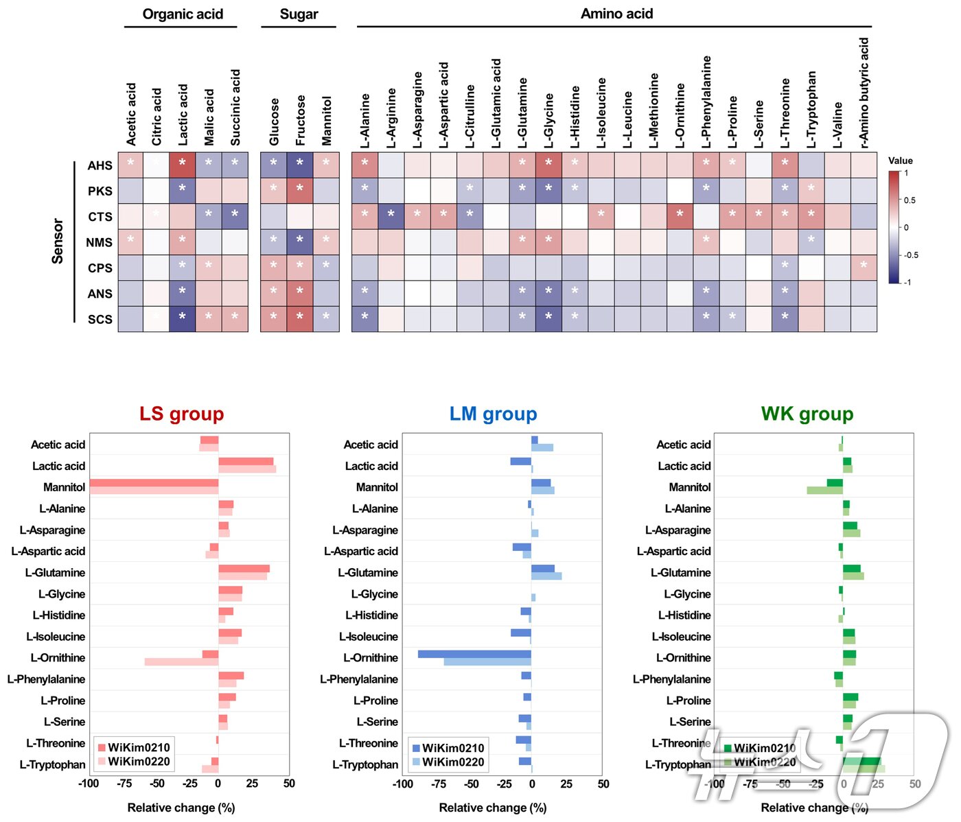 본문 이미지 - 김치 종균별 대사산물 변화와 맛 센서 결과.(세계김치연구소 제공. 재판매 및 DB 금지) 