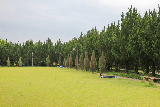 강릉 주문진 향호 '지방정원'선정…"3년 도전 끝 결실"