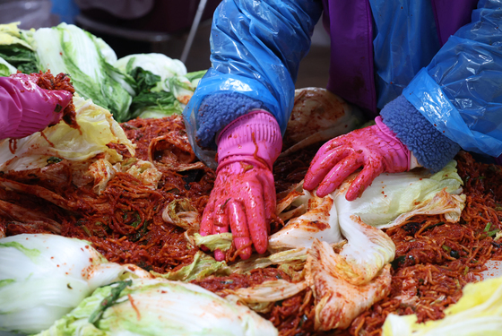 경기도, 김장재료 207건 안전성 검사…'모두 적합'
