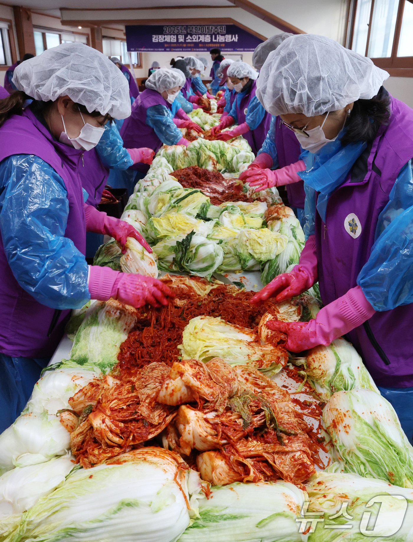 (오산=뉴스1) 김영운 기자 = 13일 경기 오산시 오산종합운동장에서 열린 '2025년 북한이탈주민 김장체험 및 소외계층 나눔행사'에서 자원봉사자들이 김치를 담그고 있다. 2025 …