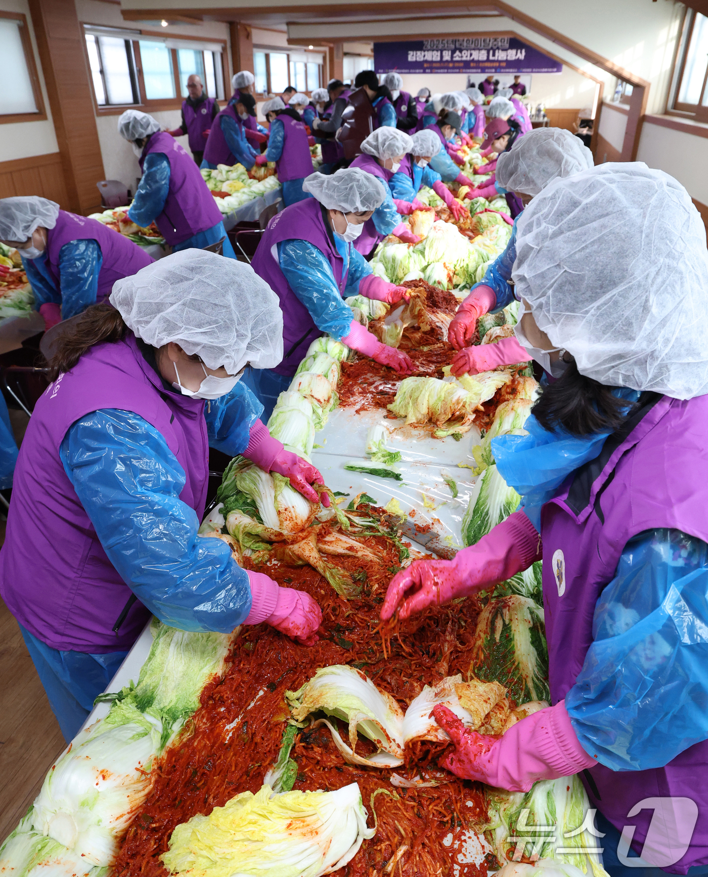 (오산=뉴스1) 김영운 기자 = 13일 경기 오산시 오산종합운동장에서 열린 '2025년 북한이탈주민 김장체험 및 소외계층 나눔행사'에서 자원봉사자들이 김치를 담그고 있다. 2025 …