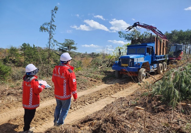 동부지방산림청, 소나무재선충병 확산 차단 적극 추진