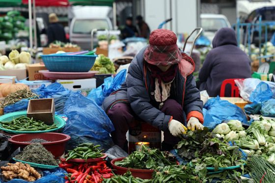 올해 김장비용 20만1000원…전년 대비 5.6% 낮아