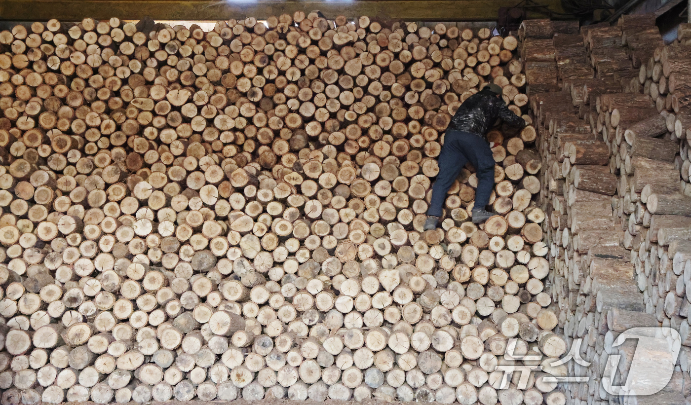 (안성=뉴스1) 김영운 기자 = 전국 대부분 지역의 아침 기온이 영하권을 보인 18일 경기 안성시의 한 장작공장에서 관계자가 장작 출하 작업을 하고 있다.이번 추위는 수요일인 19 …