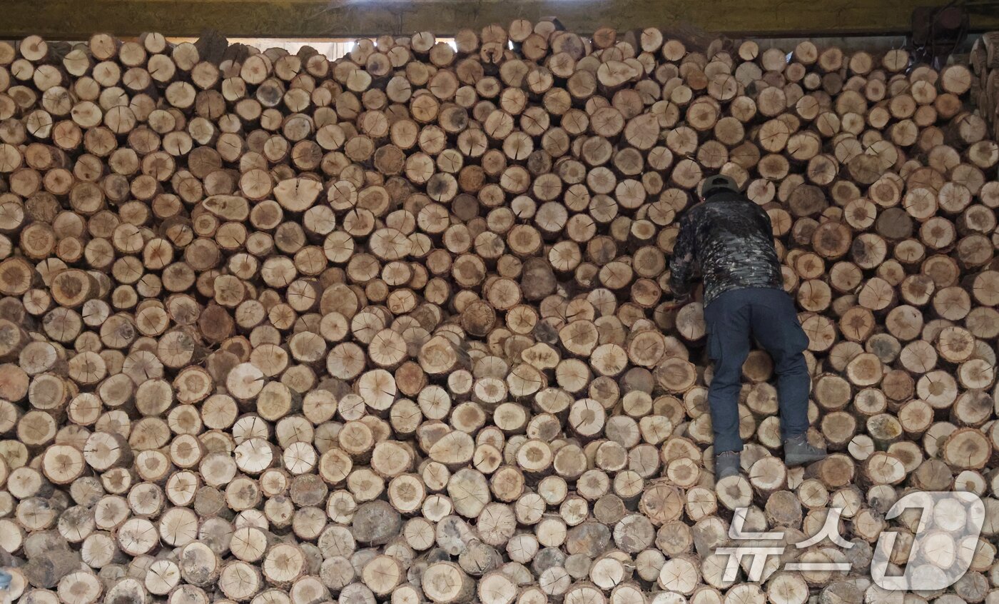 본문 이미지 - 전국 대부분 지역의 아침 기온이 영하권을 보인 18일 경기 안성시의 한 장작공장에서 관계자가 장작 출하 작업을 하고 있다. 이번 추위는 수요일인 19일 낮까지 이어지겠고, 목요일인 20일부터는 기온이 평년 범위로 점차 회복할 전망이다. 2025.11.18/뉴스1 ⓒ News1 김영운 기자