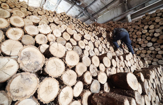 아침 최저 -6도 전국 영하권…낮에도 한자릿수 '강추위'(종합)