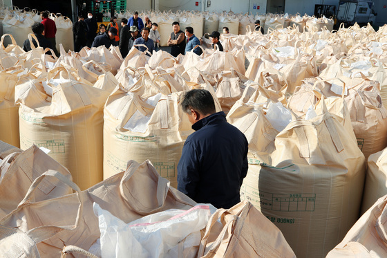 작년 10a당 벼농사 순이익 42.7만원, 58%↑…작황 개선에 수익성 '껑충'