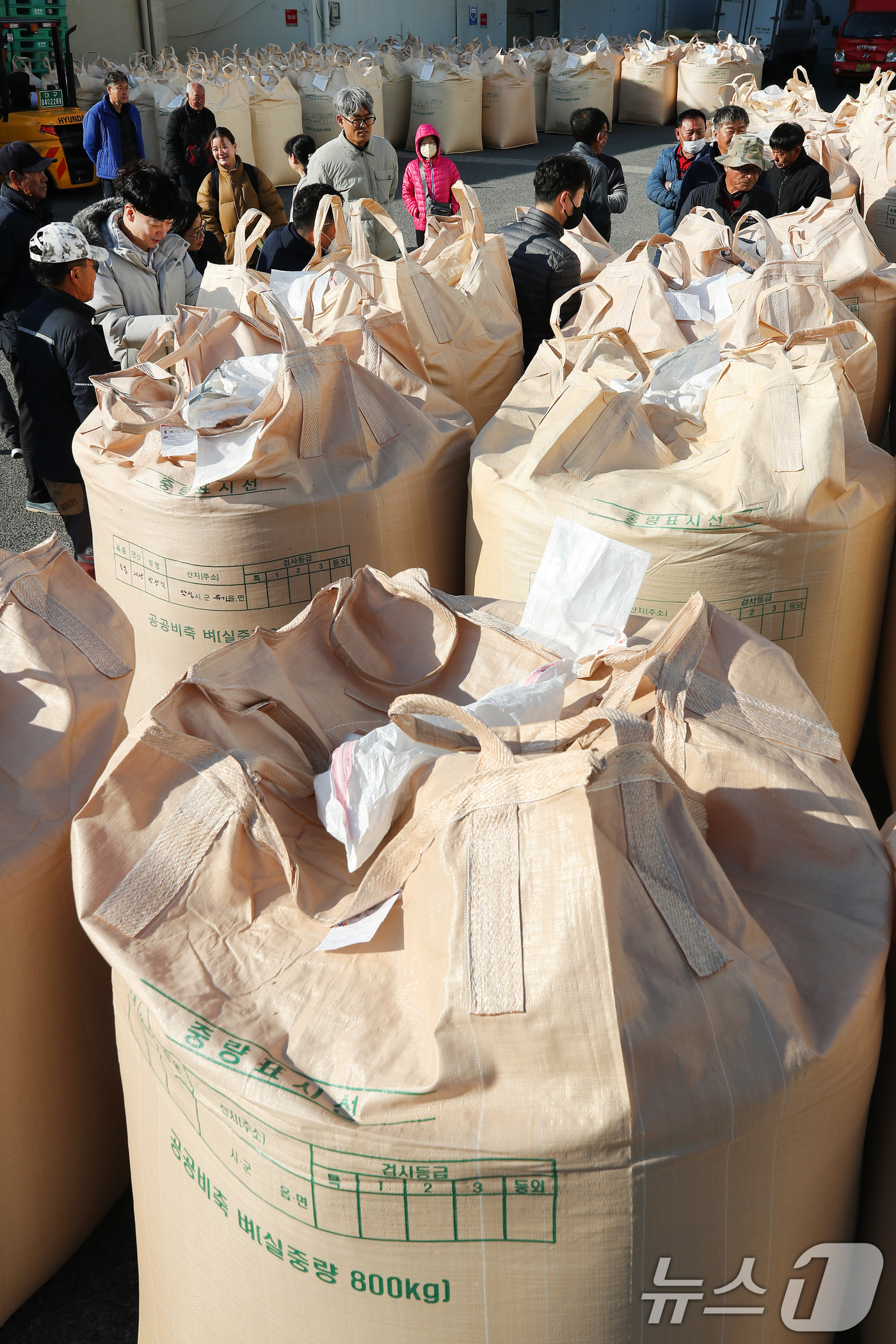 (대구=뉴스1) 공정식 기자 = 밤사이 기온이 크게 내려가 초겨울 날씨를 보인 18일 오전 대구 달성군 유가읍 유가농협 본점에서 '2025년산 공공비축미곡(건조 벼) 매입'이 진행 …