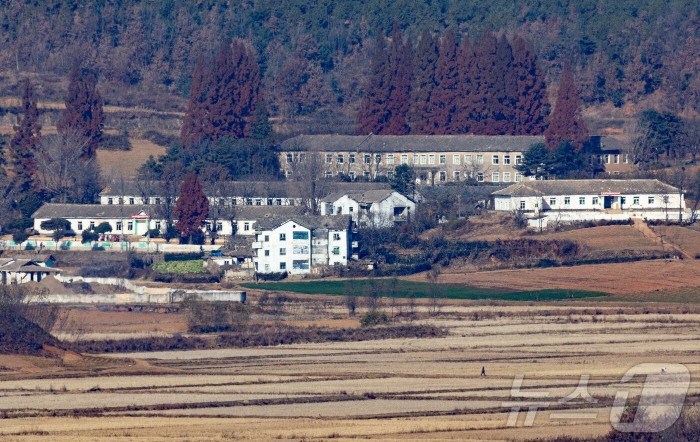 본문 이미지 - 경기도 파주시 오두산 통일전망대에서 바라본 북한 황해북도 개풍군 마을 모습. 2025.11.18 ⓒ 뉴스1 이재명 기자