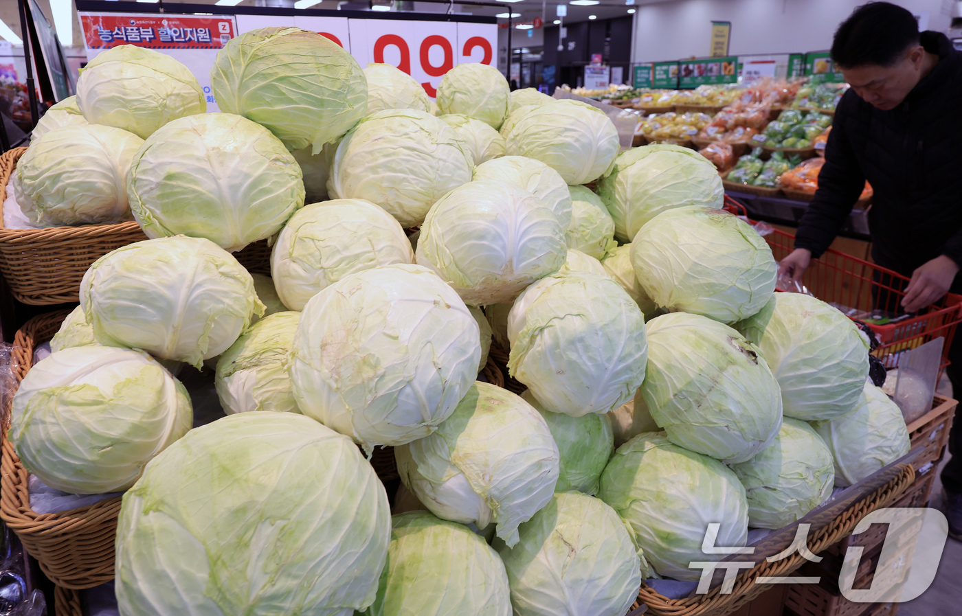 (서울=뉴스1) 이호윤 기자 = 18일 서울 시내 한 대형마트에 양배추가 판매되고 있다. 업계에 따르면 최근 롯데리아·써브웨이 등 주요 햄버거·샌드위치 프랜차이즈는 기후 변수로 인 …