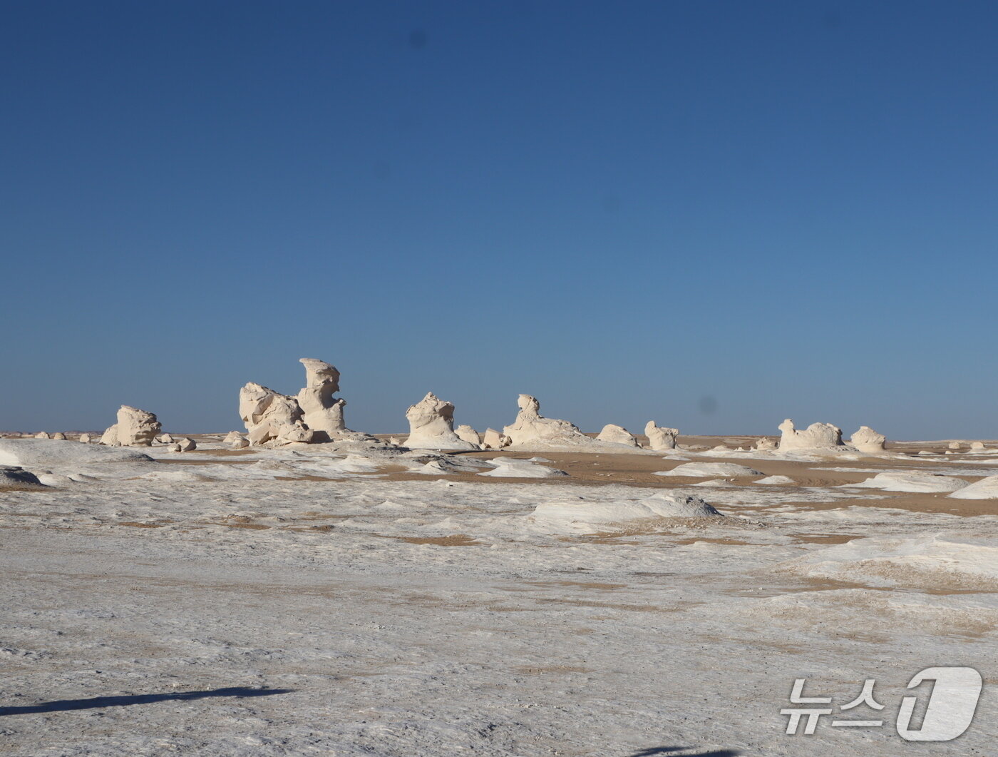 본문 이미지 - 경이로운 모양의 암석들이 줄지어 서 있는 백사막의 풍경. ⓒ 뉴스1 김정한 기자