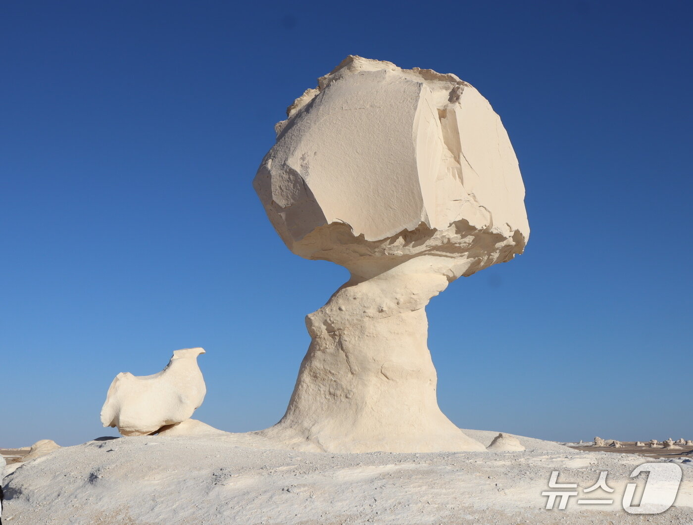 본문 이미지 - 백사막의 포토 스팟인 버섯 바위와 닭 모양의 암석. ⓒ 뉴스1 김정한 기자