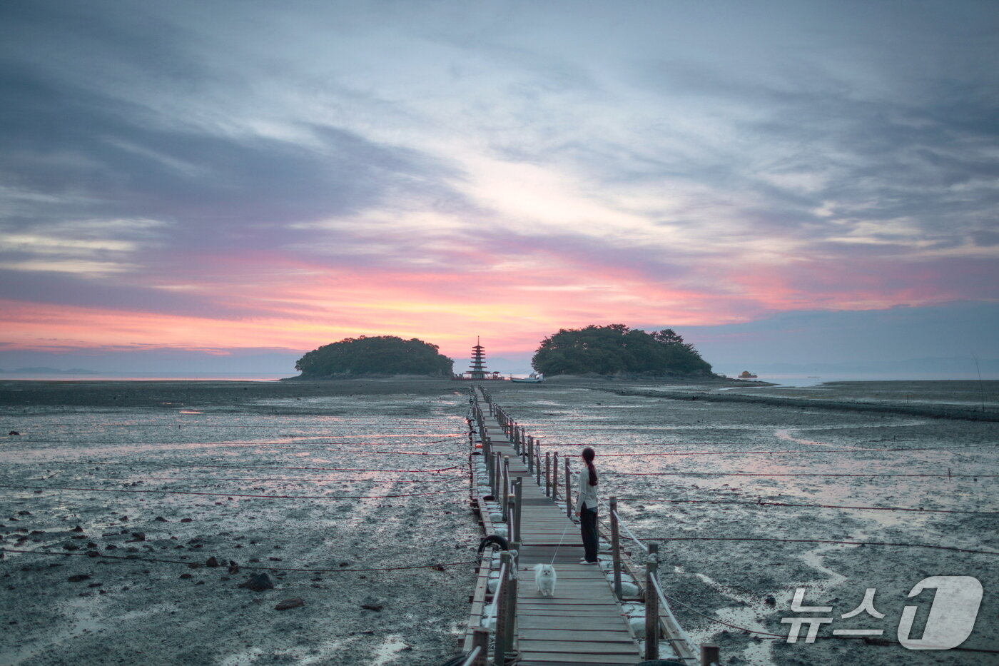 본문 이미지 - 최우수상 정태식 씨 사진(태안군 제공. 재판매 및 DB금지)2025.11.18/뉴스1