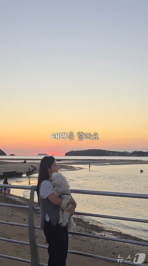 본문 이미지 - 최우수상 최남이 씨 영상(태안군 제공. 재판매 및 DB금지)2025.11.18/뉴스1