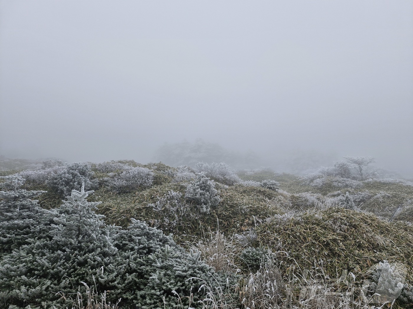 (제주=뉴스1) 홍수영 기자 = 18일 오전 제주 한라산에 첫눈이 내려 장관을 연출하고 있다.올가을 첫눈은 지난해(11월27일)보다 9일 빨랐다.(한라산국립공원 김성황 씨 제공. …