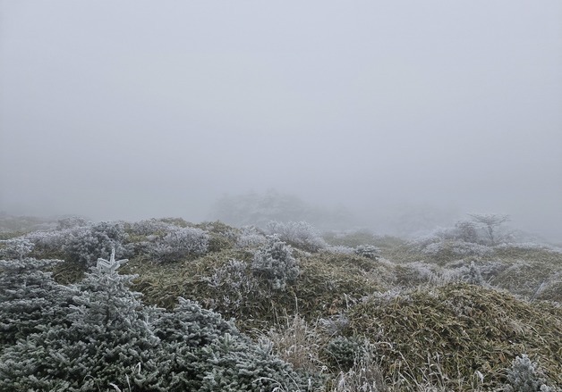 제주도 산지 대설주의보…"모레까지 최대 7㎝"