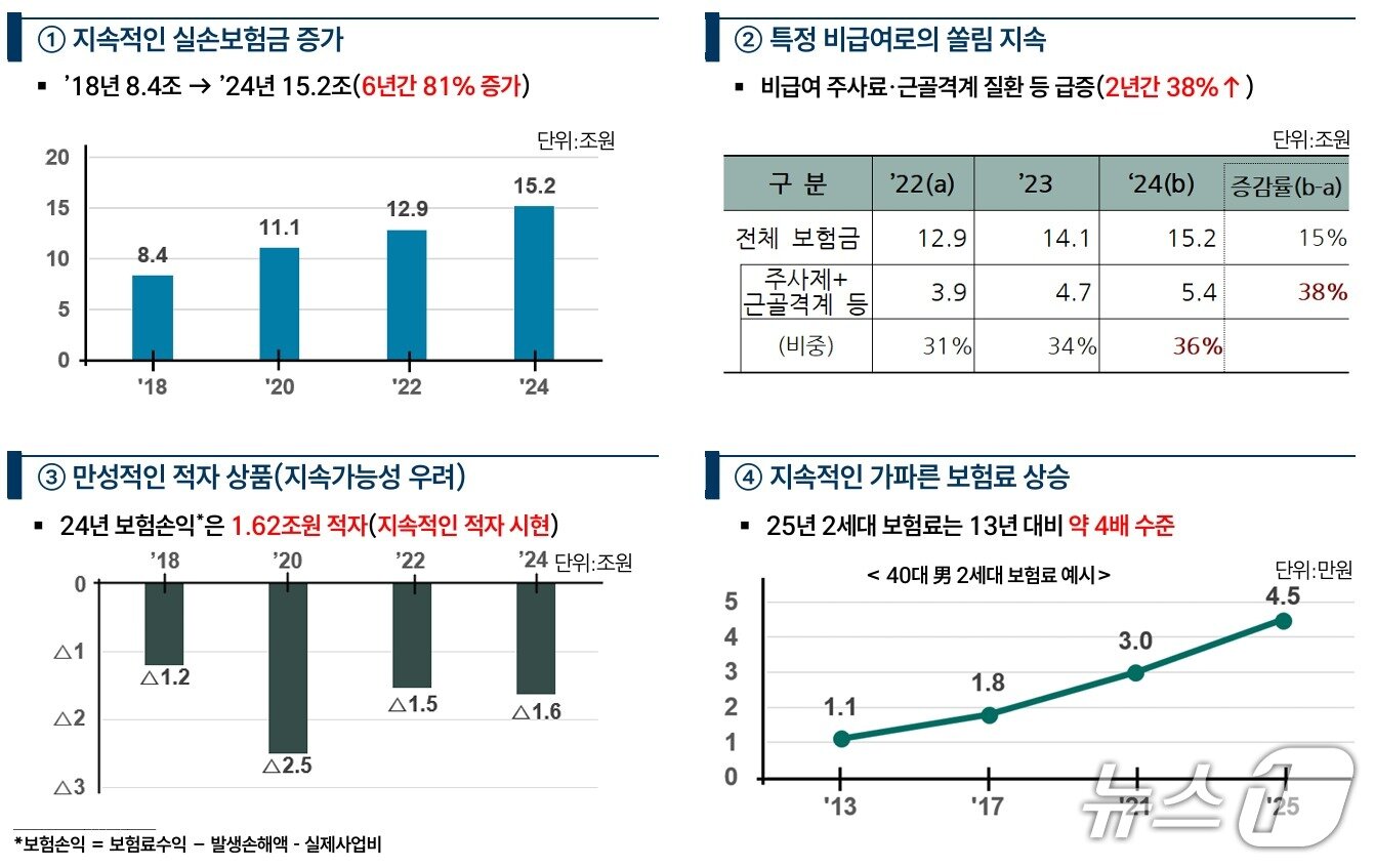 본문 이미지 - 실손의료보험 현황/사진제공=금융감독원
