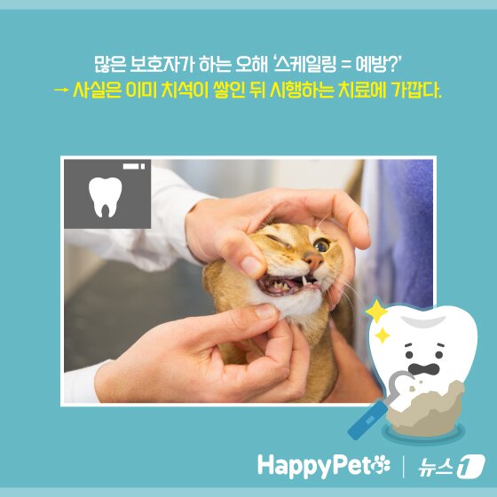 본문 이미지 - ⓒ News1 양혜림 디자이너