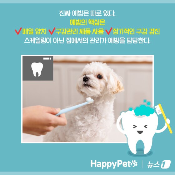 본문 이미지 - ⓒ News1 양혜림 디자이너