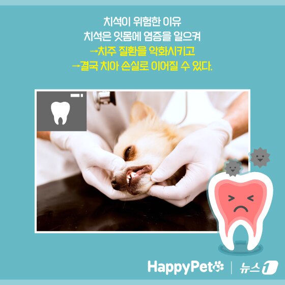 본문 이미지 - ⓒ News1 양혜림 디자이너