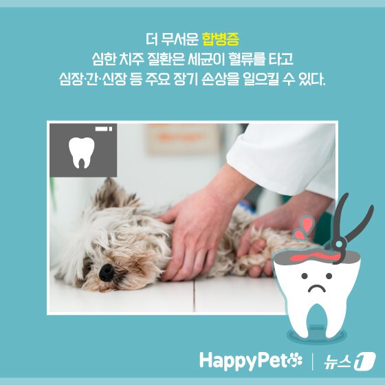 본문 이미지 - ⓒ News1 양혜림 디자이너