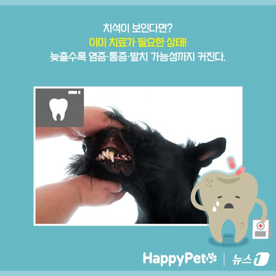 본문 이미지 - ⓒ News1 양혜림 디자이너