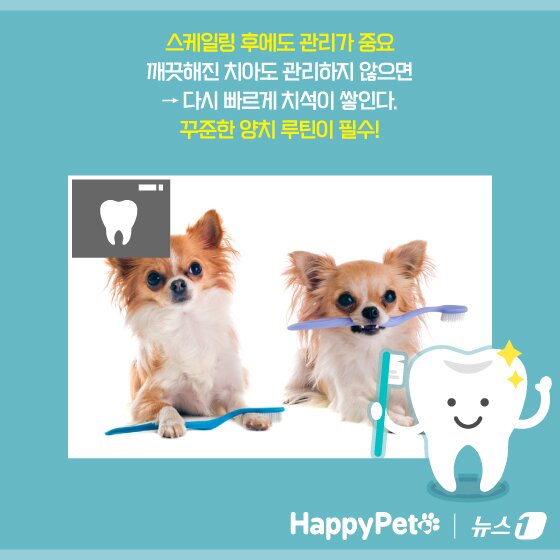 본문 이미지 - ⓒ News1 양혜림 디자이너