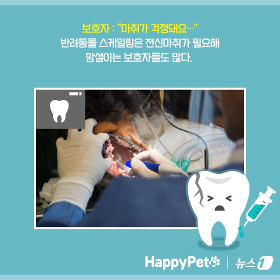 본문 이미지 - ⓒ News1 양혜림 디자이너