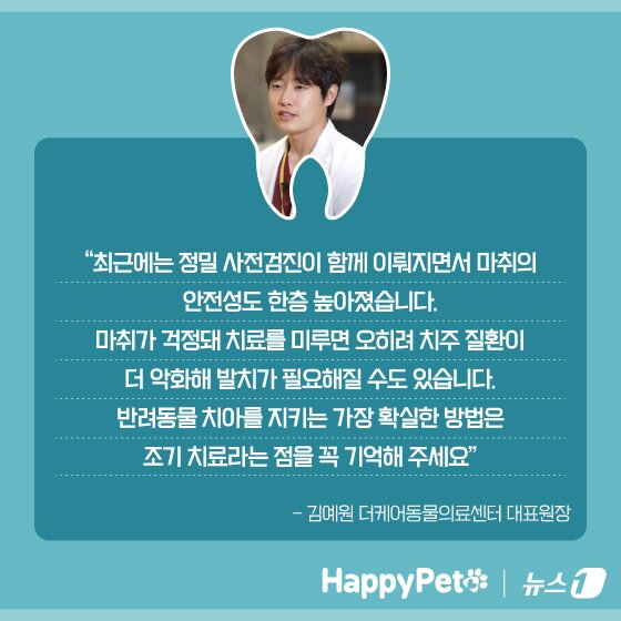 본문 이미지 - ⓒ News1 양혜림 디자이너