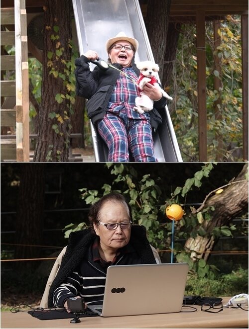 본문 이미지 - TV조선 '퍼펙트 라이프'