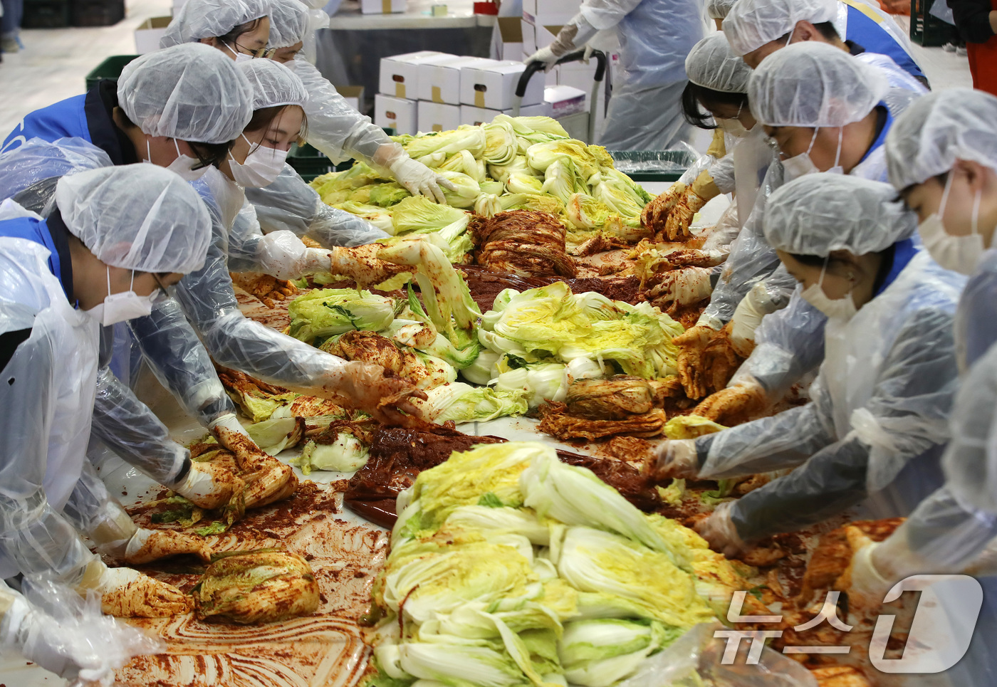 (부산=뉴스1) 윤일지 기자 = 19일 부산 해운대구 벡스코 제2전시장에서 열린 '2025 사랑의 김치나눔 한마당'에서 벡스코 직원들이 김장을 하고 있다.후원 기업·기관 임직원, …