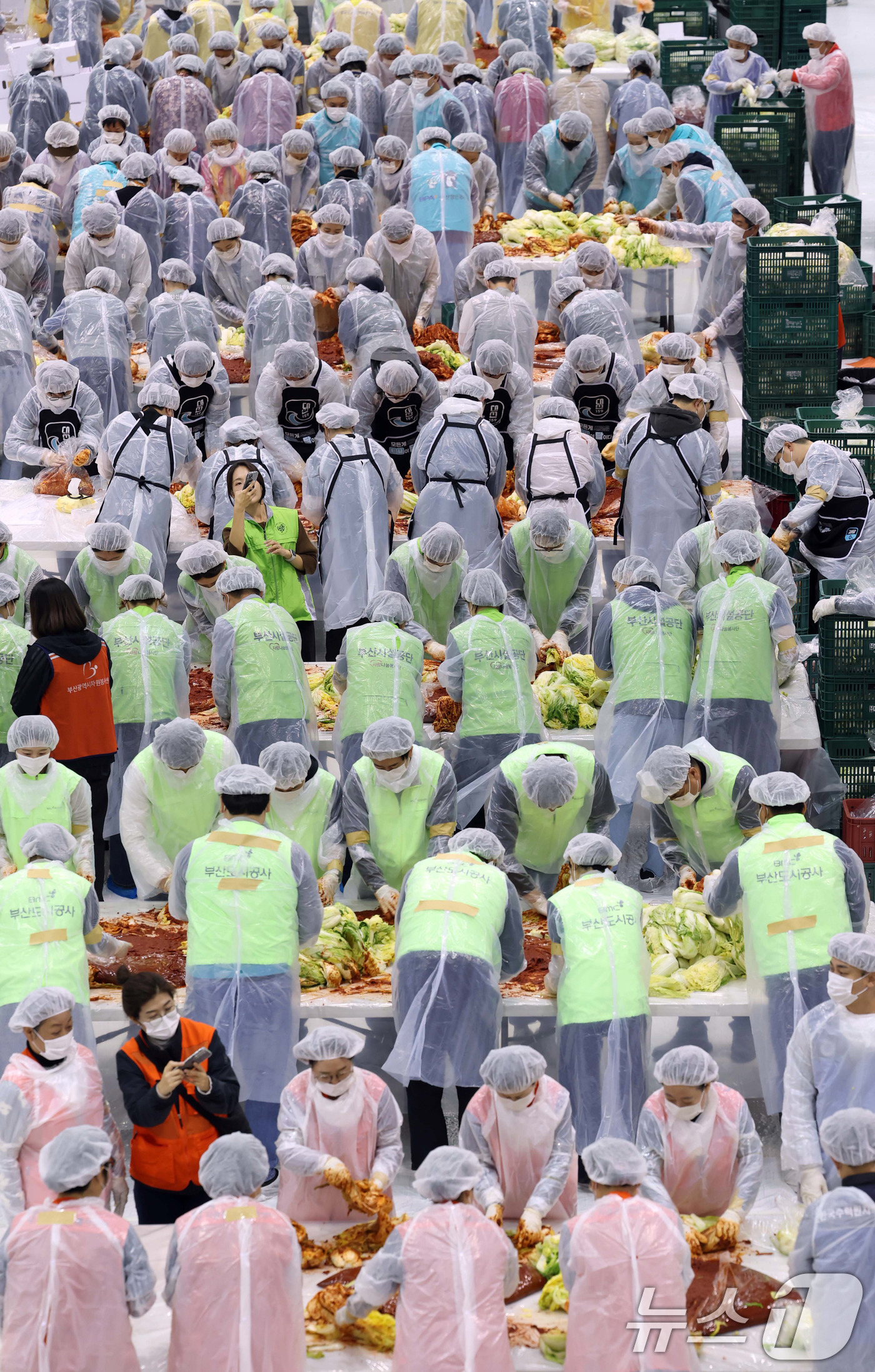 (부산=뉴스1) 윤일지 기자 = 19일 부산 해운대구 벡스코 제2전시장에서 열린 '2025 사랑의 김치나눔 한마당'에서 자원봉사자들이 김장을 하고 있다.후원 기업·기관 임직원, 자 …
