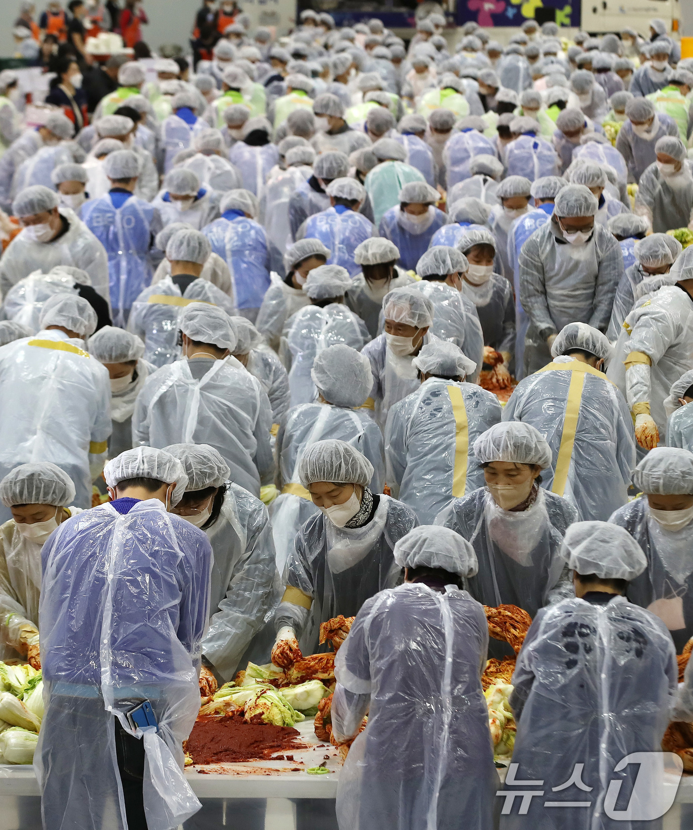 (부산=뉴스1) 윤일지 기자 = 19일 부산 해운대구 벡스코 제2전시장에서 열린 '2025 사랑의 김치나눔 한마당'에서 자원봉사자들이 김장을 하고 있다.후원 기업·기관 임직원, 자 …