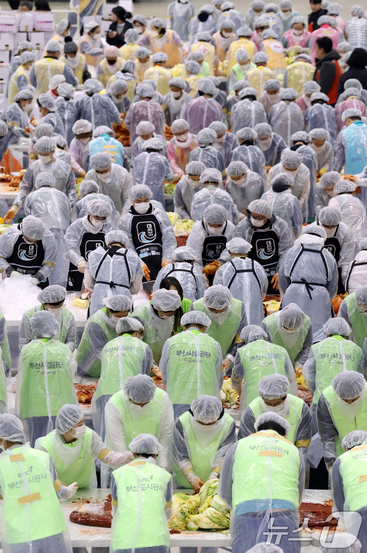 (부산=뉴스1) 윤일지 기자 = 19일 부산 해운대구 벡스코 제2전시장에서 열린 '2025 사랑의 김치나눔 한마당'에서 자원봉사자들이 김장을 하고 있다.후원 기업·기관 임직원, 자 …
