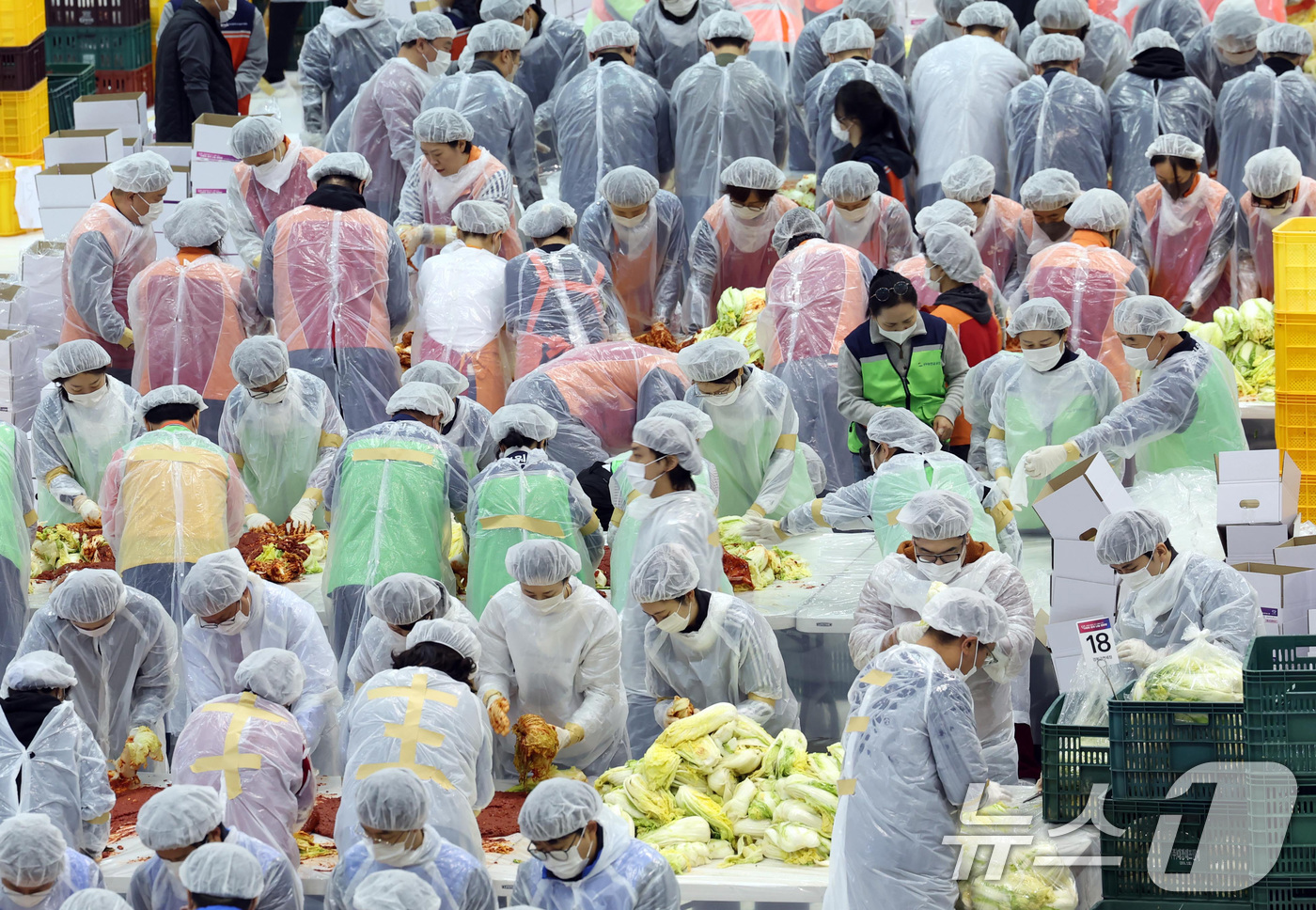(부산=뉴스1) 윤일지 기자 = 19일 부산 해운대구 벡스코 제2전시장에서 열린 '2025 사랑의 김치나눔 한마당'에서 자원봉사자들이 김장을 하고 있다.후원 기업·기관 임직원, 자 …