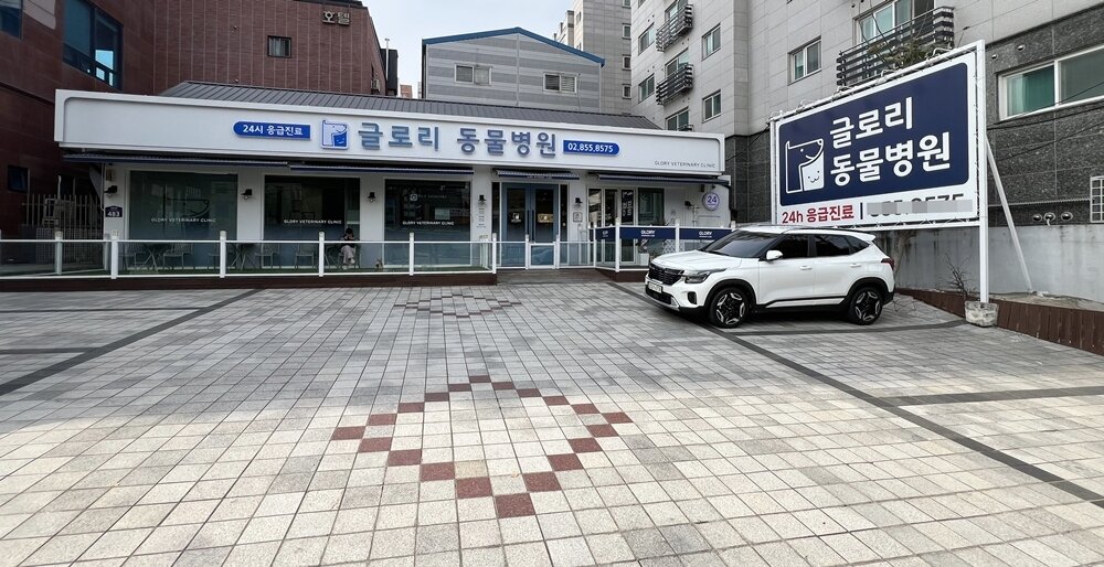 본문 이미지 - 넓은 주차장이 특징인 글로리동물병원 전경 ⓒ 뉴스1