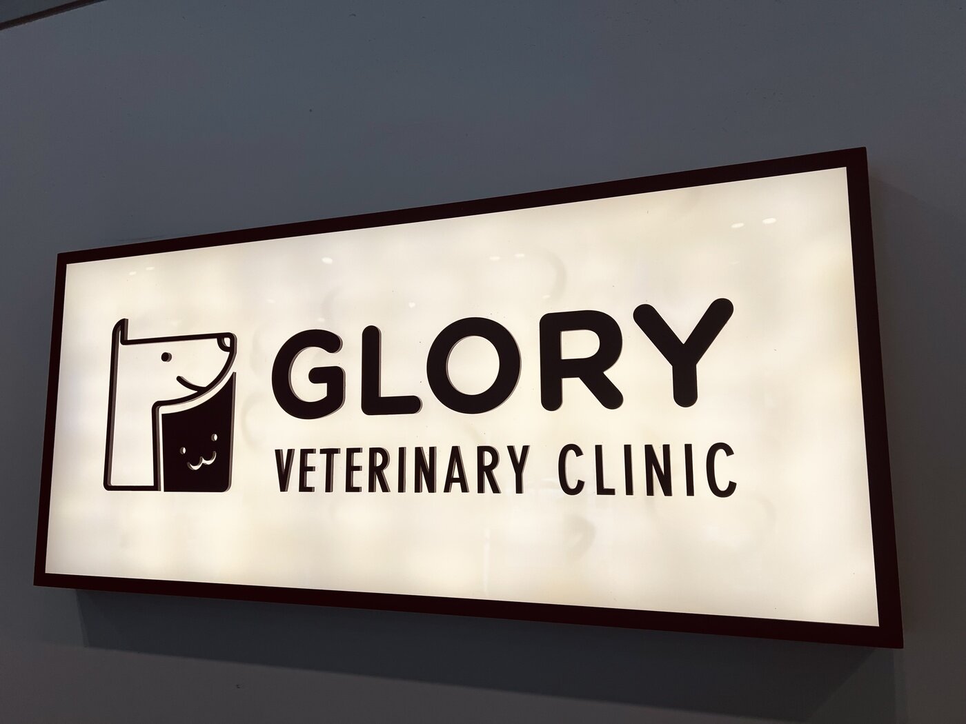 본문 이미지 - 글로리동물병원 내부 간판 ⓒ 뉴스1