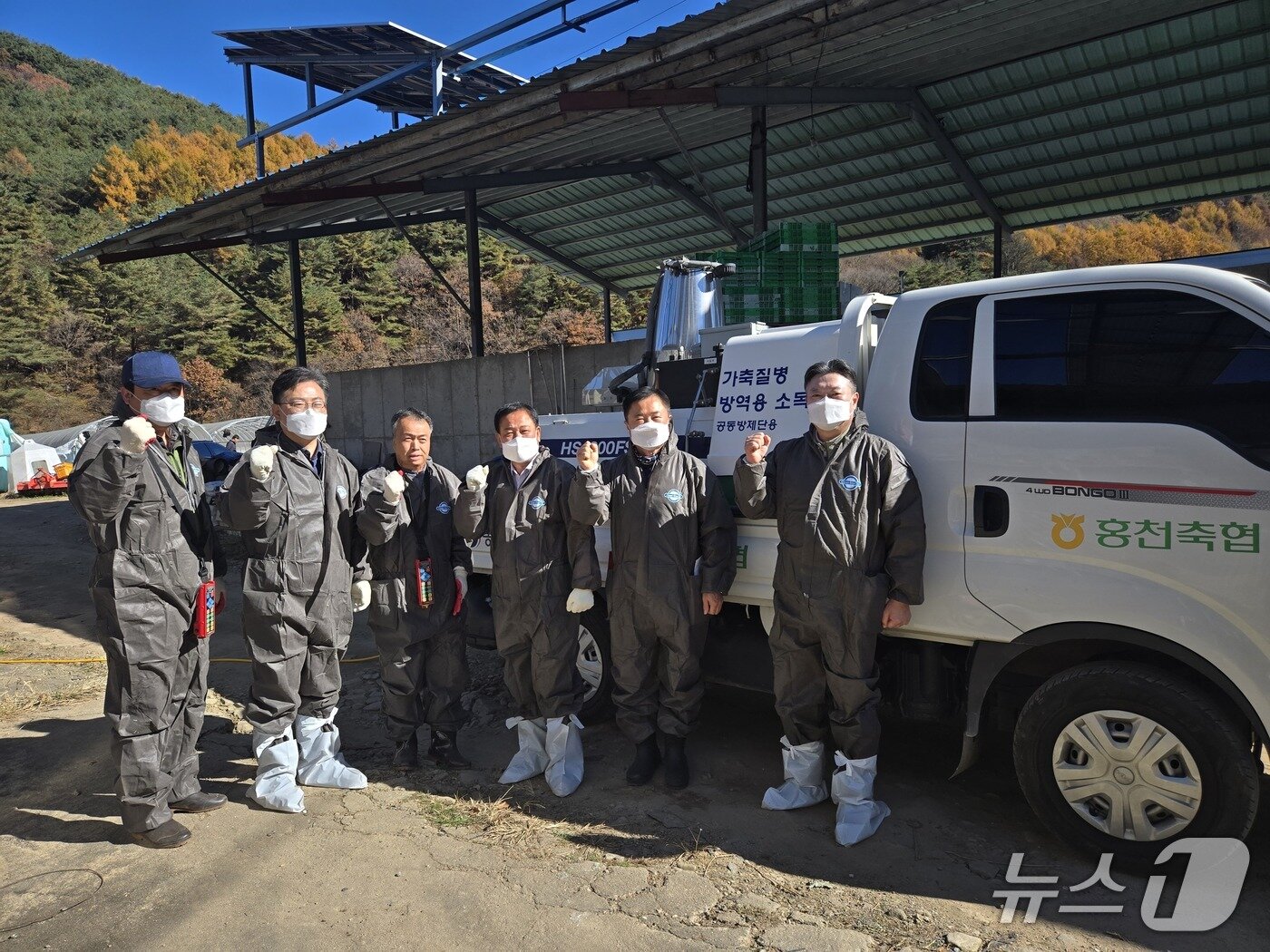 본문 이미지 - 홍천지역 축산농가 방역 상황 점검.&#40;농협 강원본부 제공. 재판매 및 DB금지&#41;/뉴스1