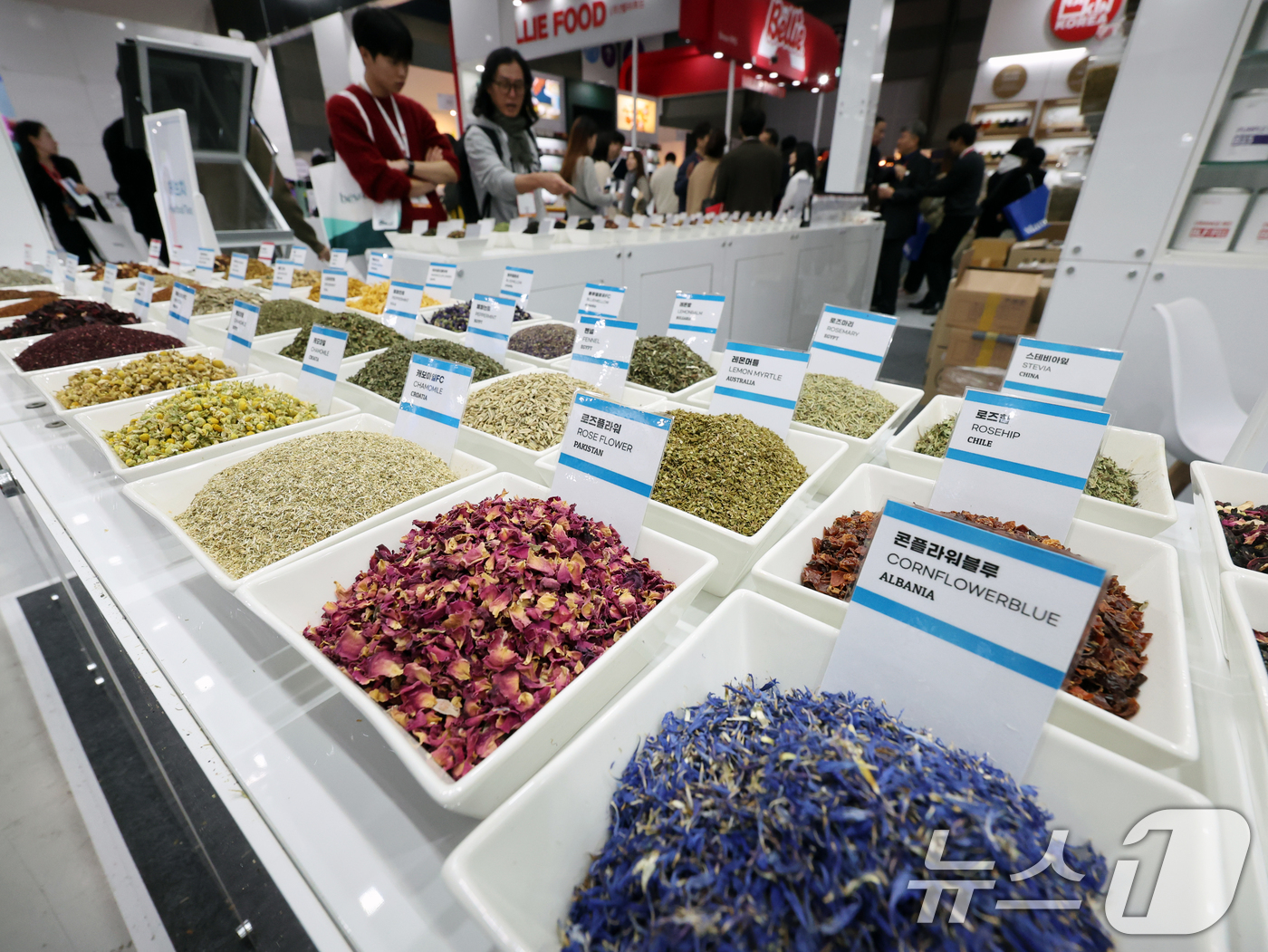 (서울=뉴스1) 황기선 기자 = 19일 서울 강남구 코엑스에서 열린 '2025 서울카페쇼'에서 관람객들이 전시 부스를 둘러보고 있다. 2025.11.19/뉴스1