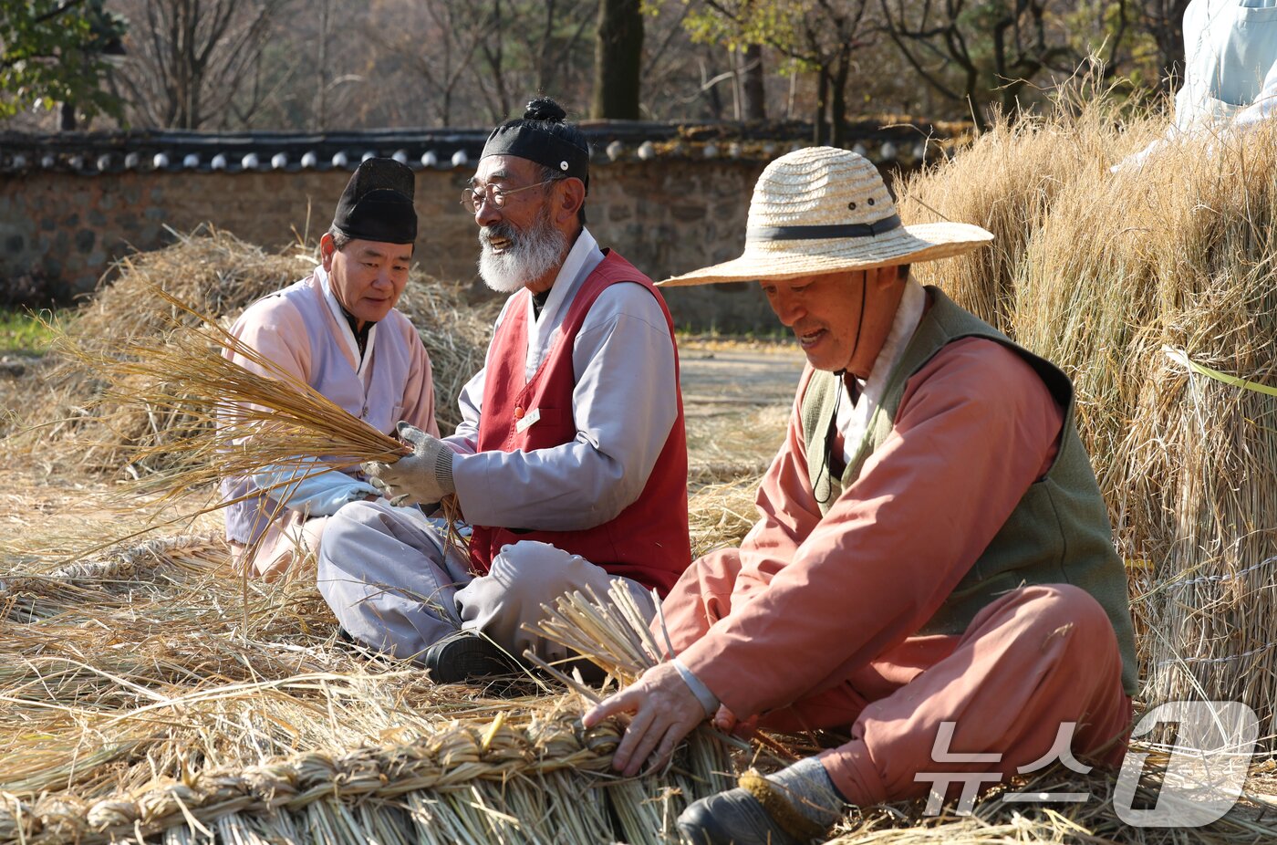 본문 이미지 - 절기상 소설&#40;小雪&#41;을 사흘 앞둔 19일 경기 용인시 기흥구 한국민속촌에서 직원들이 초가지붕 위에 올릴 이엉 잇기 작업을 하며 월동 준비를 하고 있다. 2025.11.19/뉴스1 ⓒ News1 김영운 기자
