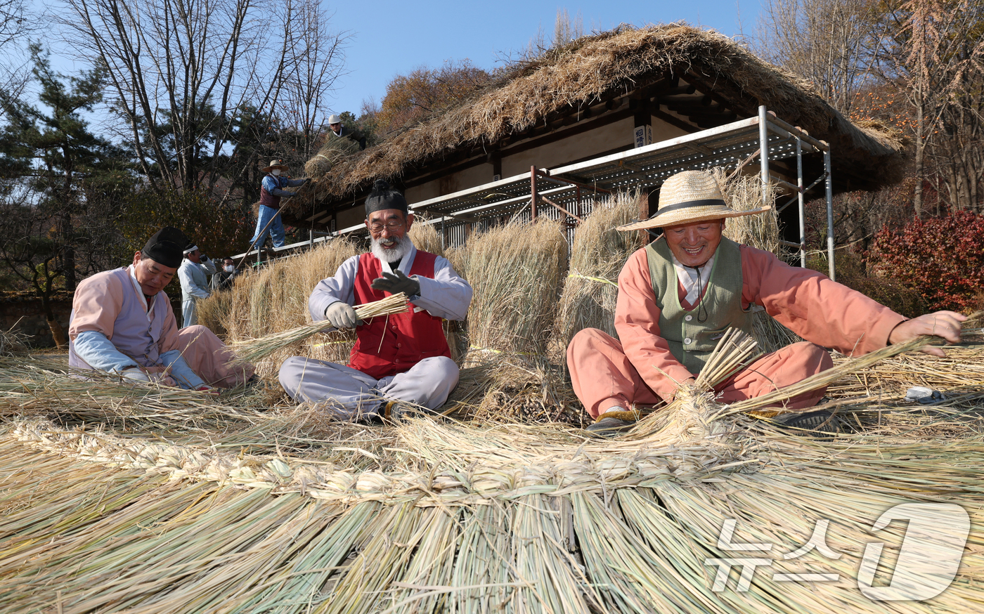 (용인=뉴스1) 김영운 기자 = 절기상 소설(小雪)을 사흘 앞둔 19일 경기 용인시 기흥구 한국민속촌에서 직원들이 초가지붕 위에 올릴 이엉 잇기 작업을 하며 월동 준비를 하고 있다 …