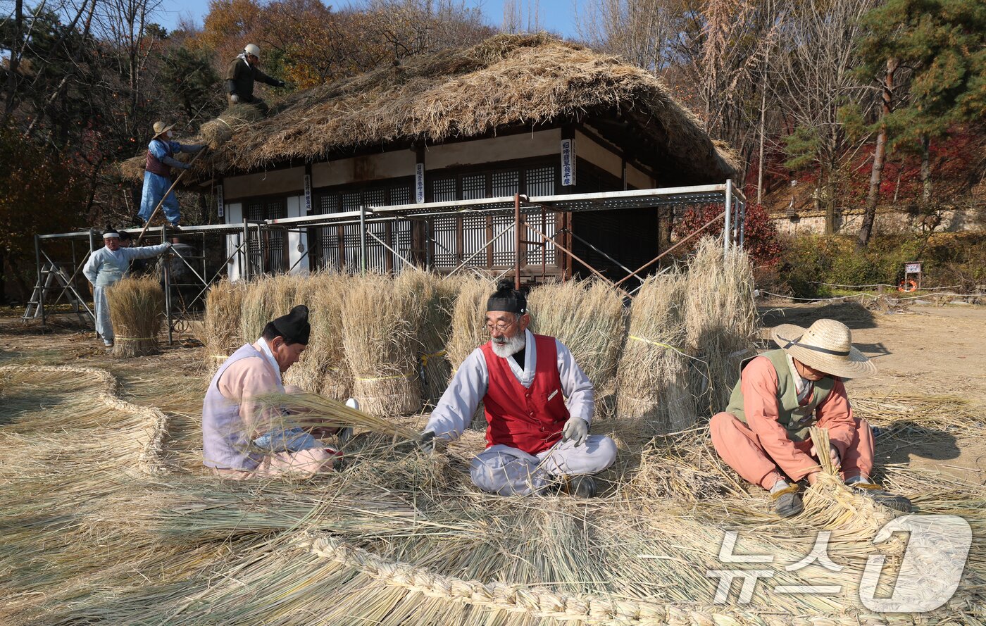 본문 이미지 - 절기상 소설&#40;小雪&#41;을 사흘 앞둔 19일 경기 용인시 기흥구 한국민속촌에서 직원들이 초가지붕 위에 올릴 이엉 잇기 작업을 하며 월동 준비를 하고 있다. 2025.11.19/뉴스1 ⓒ News1 김영운 기자